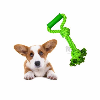 CORDON ALGODÓN PERROS RYBIU CON AGARRADERA VERDE LIMON + POST-IT ADHESIVOS