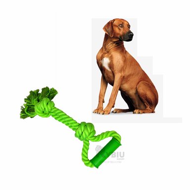 CUERDA ALGODÓN PERROS RYBIU RESISTENTE VERDE LIMON + AGENDITA