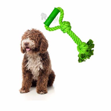 CORDON ALGODÓN PERROS RYBIU DIDACTICO VERDE LIMON + BANDERITAS ADHESIVAS