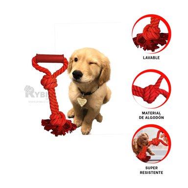 CORDON ALGODÓN PERROS RYBIU APTO CAN EN VERDE LIMON + REGALO LIGAS PEINAR