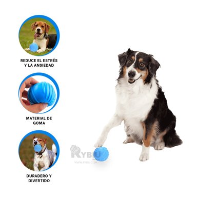 JUGUETE PERROS RYBIU DIVERTIDO Y COMPACTO CELESTE + MINIAGENDA