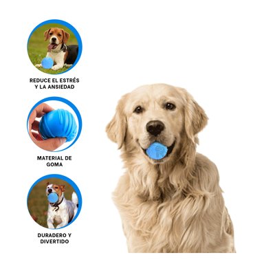 JUGUETE PERROS RYBIU ELEGANTE Y DIANMICA CELESTE + STICKERS