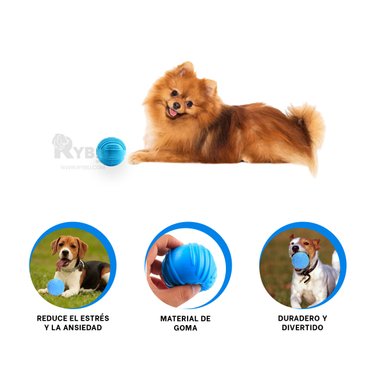 JUGUETE PERROS RYBIU DURADERO Y VERSATIL EN CELESTE + AGENDITA