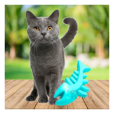 JUGUETE PERROS Y GATOS RYBIU PEZ VERDE AGUA NIÑOS + +POST-IT ADHESIVOS