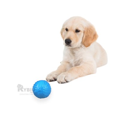 JUGUETE PERROS RYBIU RESISTENTE Y LIGERO CELESTE + STICKERS