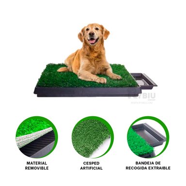 SANITARIO PERROS RYBIU MA31005 CASA L NEGRO + BANDERITAS ADHESIVAS