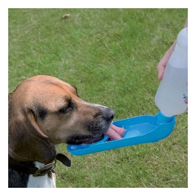 BOTELLA PERRO MA31011 RYBIU PASEO CELESTE + POST-IT ADHESIVOS - 2