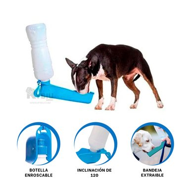 BOTELLA PERRO MA31011 RYBIU CANNES CELESTE + REGALO LIGAS PEINAR