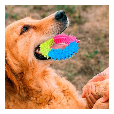 ARO DIDACTICO CACHORRO RYBIU 11 CM MULTICOLOR + PAPEL REGALO