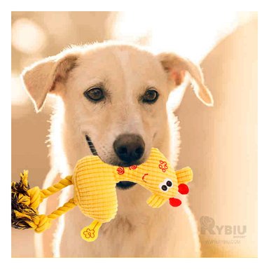 JUGUETE PERROS RYBIU TELA RELLENO AMARILLO + PAPEL REGALO