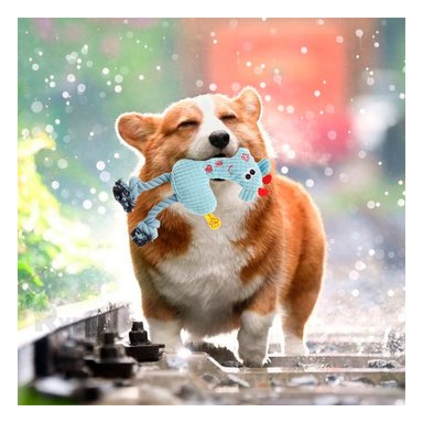 JUGUETE PERROS RYBIU TELA RELLENO CELESTE + PAPEL REGALO