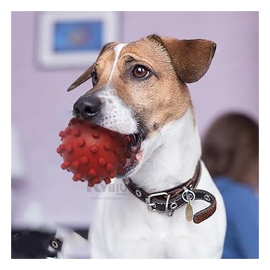 JUGUETE PERROS RYBIU RESISTENTE ROJO + PAPEL REGALO