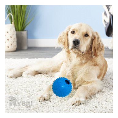 JUGUETE PERROS RYBIU RESISTENTE AZUL + REGALO AGENDITA