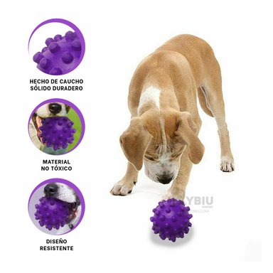 PELOTA PERROS RYBIU CHICA EN DISEÑO SIMPLE EN MORADO + REGALO AGENDITA
