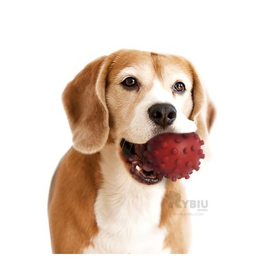 ESFERA PERROS RYBIU EN DISEÑO CHIRIMOLLA ROJO + BANDERITAS ADHESIVAS