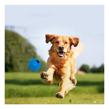 JUGUETE PERROS RYBIU FLEXIBLE PET TALLA L AZUL + PAPEL REGALO