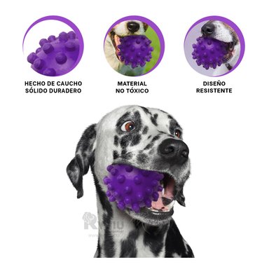 PELOTA PERROS RYBIU FUNCIONAL MORADO + ENVOLTORIO REGALO