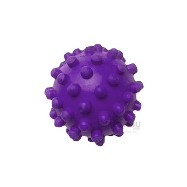 BALON PERROS RYBIU CON DISEÑO CHIRMOLLA EN MORADO + POST-IT ADHESIVOS