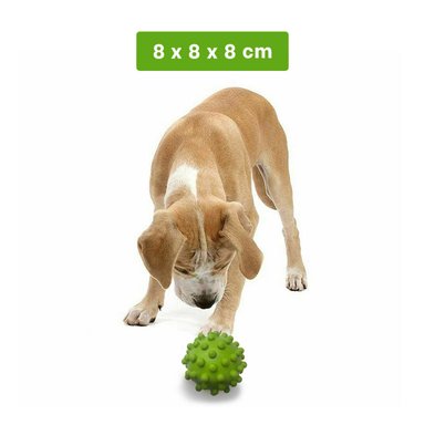 ESFERA CAUCHO PERROS RYBIU VERDE + REGALO LIGAS PEINAR - 5