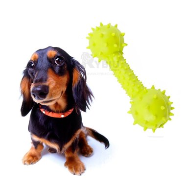 HUESO PERROS RYBIU CON HUELLITAS EN VERDE AMARILLENTO + REGALO STICKERS