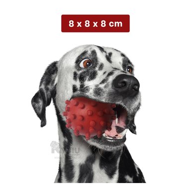 ESFERA MASCOTA RYBIU PAA ROJO + LIGAS REGALO