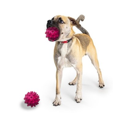 ESFERA PERROS RYBIU EN DISEÑO CHIRIMOLLA ROSADO + BANDERITAS ADHESIVAS