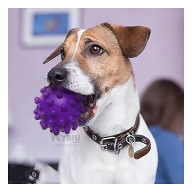 PELOTA PERROS RYBIU ENTRETENER AL CAN EN MORADO + GIFT MINIAGENDA