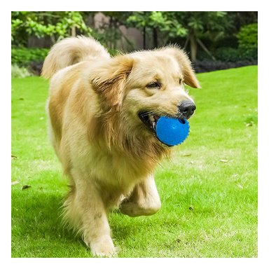 JUGUETE CAUCHO PERROS RYBIU EN FORMA CHIRIMOLLA GRANDE AZUL