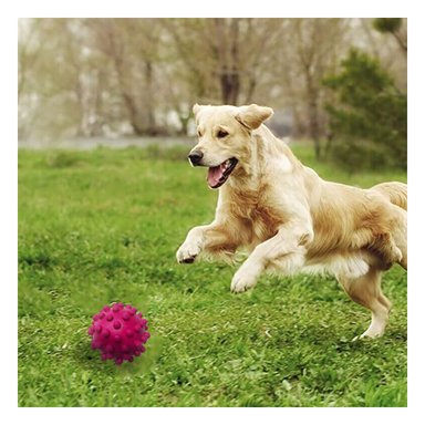 PELOTA PERROS RYBIU MASTICABLE DIVERSION EN ROSADO + GIFT MINIAGENDA