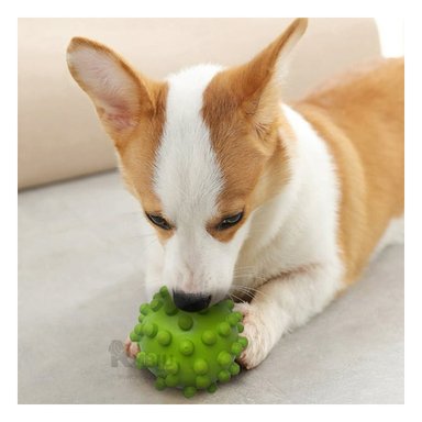 PELOTA PERROS RYBIU MASTICABLE DIVERSION EN VERDE + GIFT MINIAGENDA