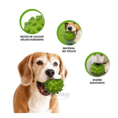 PELOTA PERROS RYBIU JUEGOS CAMPO VERDE + REGALO STICKERS