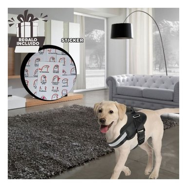 ARNES PERROS RYBIU RESISTENTE Y SEGURO EN M NEGRO + REGALO STICKERS