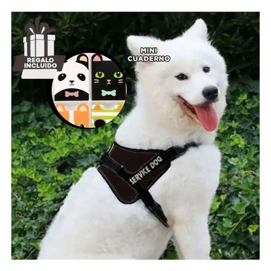 ARNES PERROS RYBIU PRACTICO EN M EN NEGRO + REGALO AGENDITA