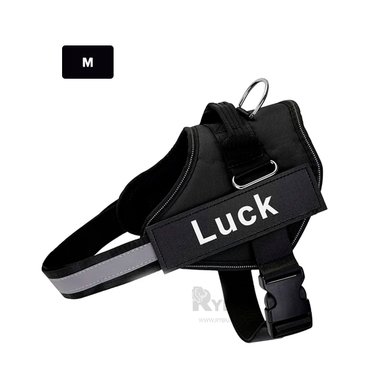 ARNES PERROS RYBIU REGULABLE TALLA M NEGRO + PAPEL REGALO - 5