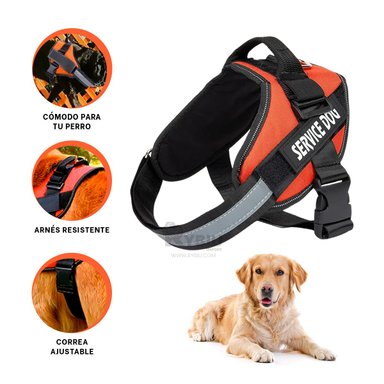 CHALECO MASCOTAS RYBIU EN ANARANJADO + ENVOLTORIO REGALO