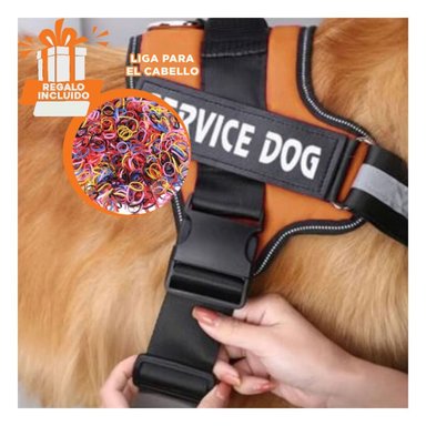 PECHERA PERROS RYBIU APTA EN ANARANJADO + LIGAS REGALO