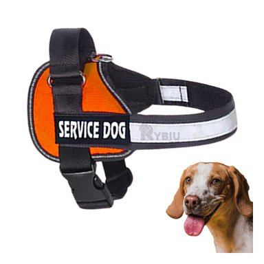 CHALECO PERROS RYBIU MODERNA E INNOVADORA EN ANARANJADO + GIFT STICKERS