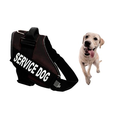 ARNES PERROS RYBIU PECHERA SERVICE DOG TALLA M COLORACION EN NEGRO