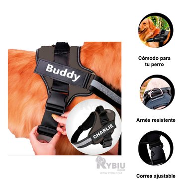 PECHERA PERROS RYBIU ACOLCHADA M NEGRO + BANDERITAS ADHESIVAS - 2