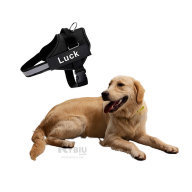 PECHERA PERROS RYBIU ACOLCHADA M NEGRO + BANDERITAS ADHESIVAS - 3