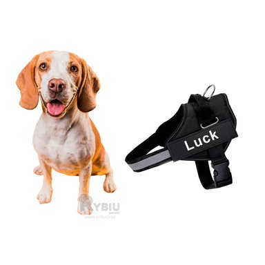 CORREA PERROS RYBIU DINAMICA EN TALLA M NEGRO + GIFT STICKERS