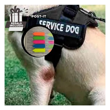 PECHERA PERROS RYBIU MULTIFUNCIONAL M NEGRO + POST-IT ADHESIVOS