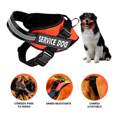 ARNES PERROS RYBIU UTIL PASEO ANARANJADO + PAPEL REGALO
