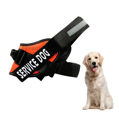 ARNES PERROS RYBIU UTIL PASEO ANARANJADO + PAPEL REGALO - 4