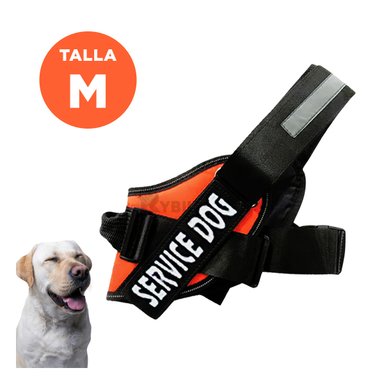 ARNES PERROS RYBIU UTIL PASEO ANARANJADO + PAPEL REGALO - 5