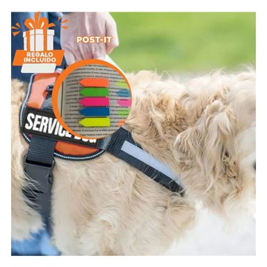 PECHERA PERROS RYBIU CON DISEÑO MODERNO EN ANARANJADO + POST-IT ADHESIVOS