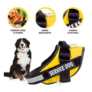 CORREA PERRO MA30964 RYBIU PERFECTA ANIMALES AMARILLO + REGALO STICKERS