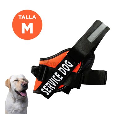 PECHERA PERROS RYBIU CANINA ANARAJADO + REGALO LIGAS PEINAR