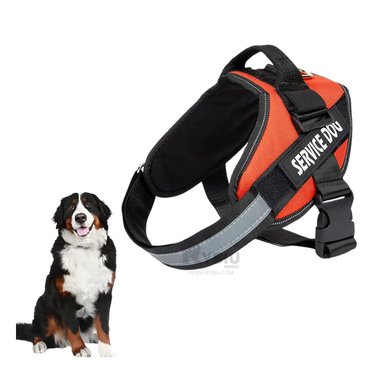 PECHERA PERROS RYBIU CANINA ANARAJADO + REGALO LIGAS PEINAR - 4