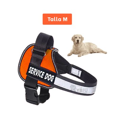 PECHERA PERROS RYBIU CANINA ANARAJADO + REGALO LIGAS PEINAR - 5